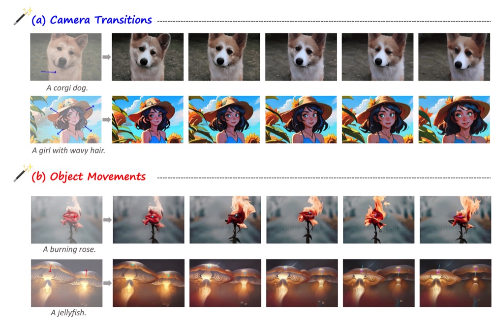 Image Conductor project preview